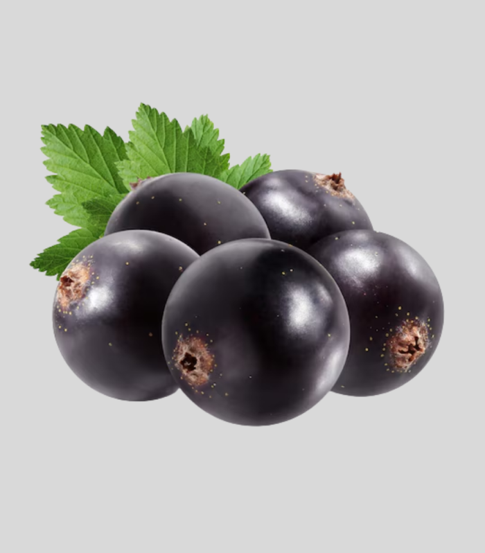 Black Current